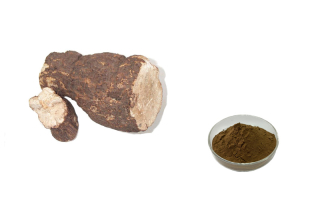 茯苓听泉鉴鲍
