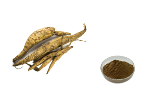 葛根听泉鉴鲍
